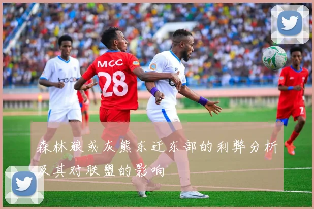 森林狼或灰熊东迁东部的利弊分析及其对联盟的影响